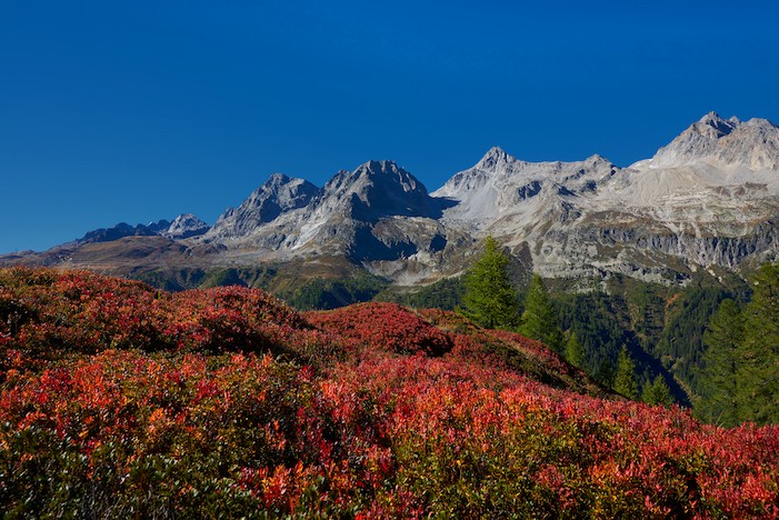 Erster Herbsttag